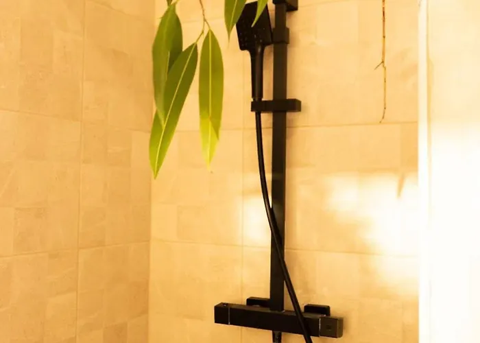 Coco Bed and Breakfast Amay